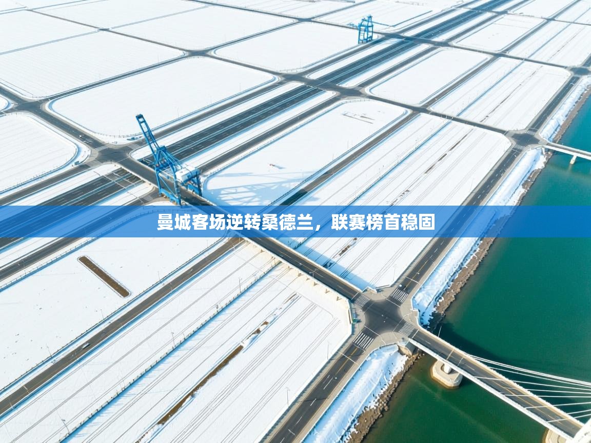 曼城客场逆转桑德兰，联赛榜首稳固  第1张