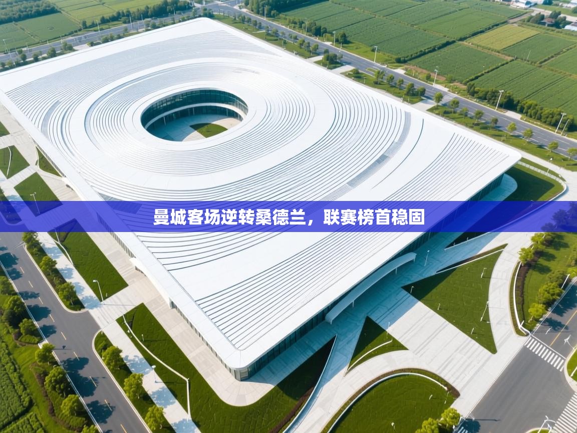 曼城客场逆转桑德兰，联赛榜首稳固  第2张