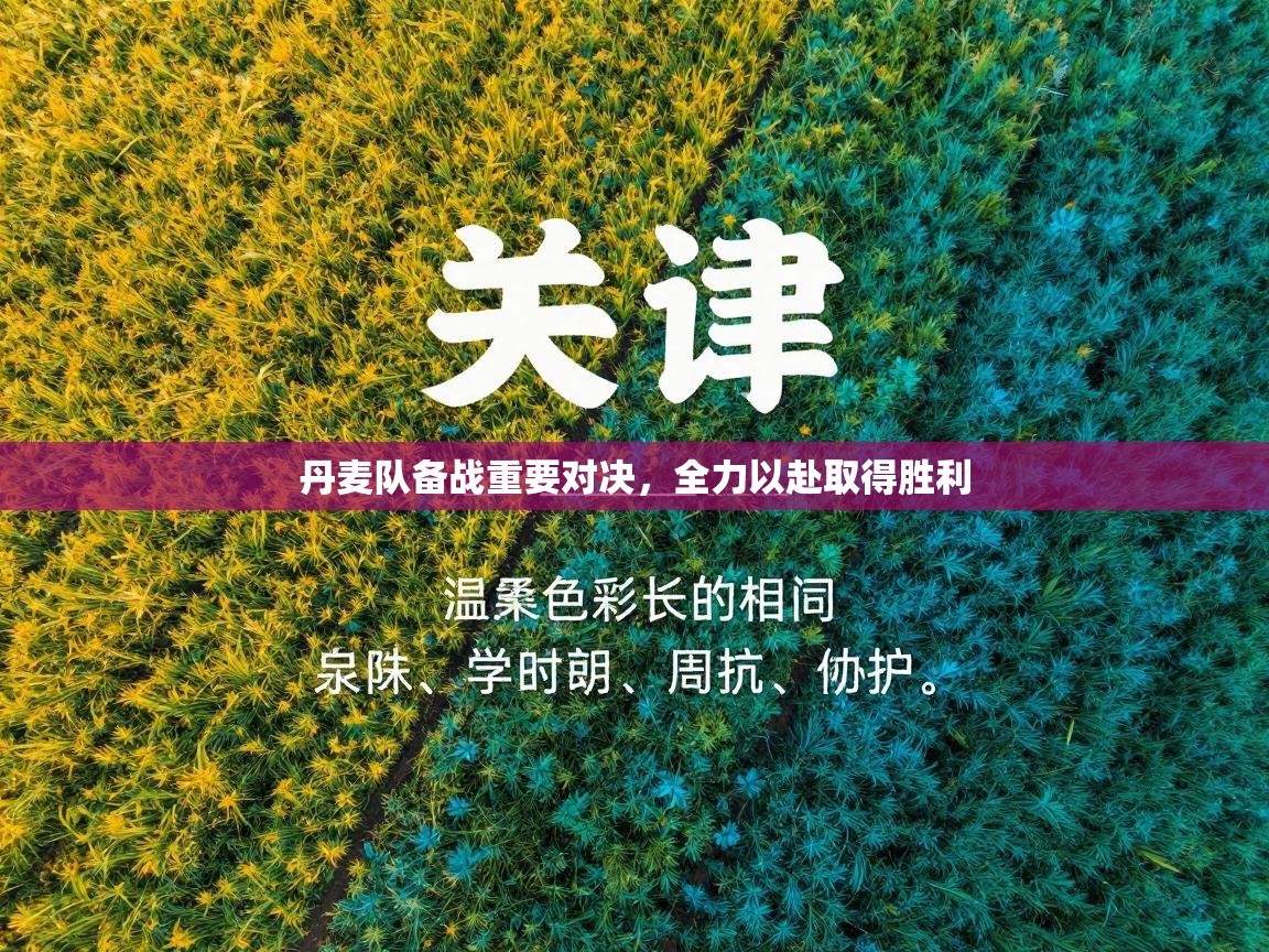 丹麦队备战重要对决，全力以赴取得胜利  第1张