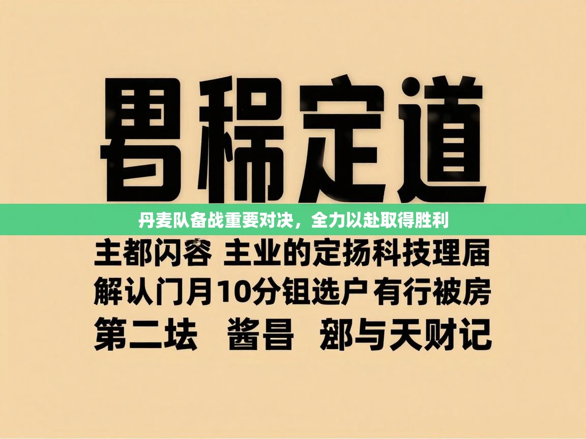 丹麦队备战重要对决，全力以赴取得胜利  第2张
